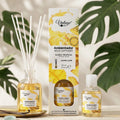 Mikado “Sueño Tropical” – Vintage Home (100 ml + Recharge 50 ml offert